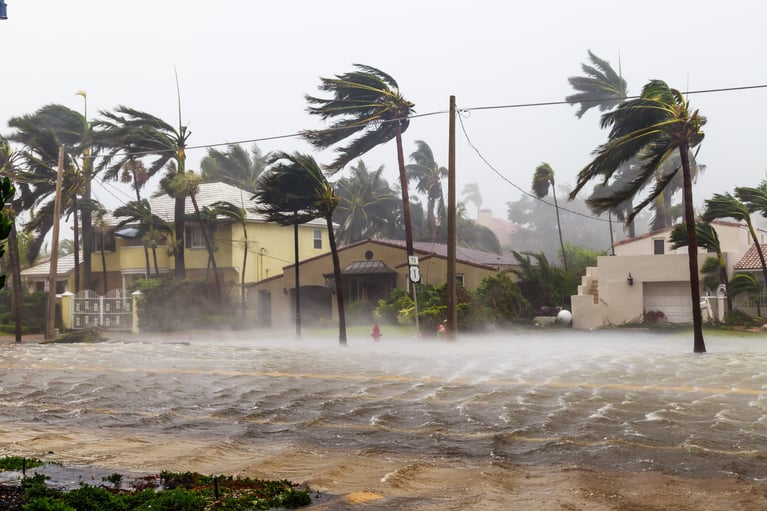 Hurricane Irene: Is Your Business Prepared?
